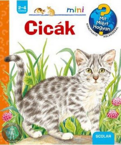 Cicák